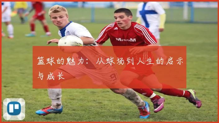 篮球的魅力：从球场到人生的启示与成长