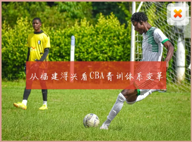 从福建浔兴看CBA青训体系变革