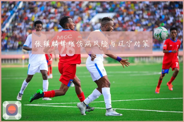 张镇麟锋线伤病风险与辽宁对策