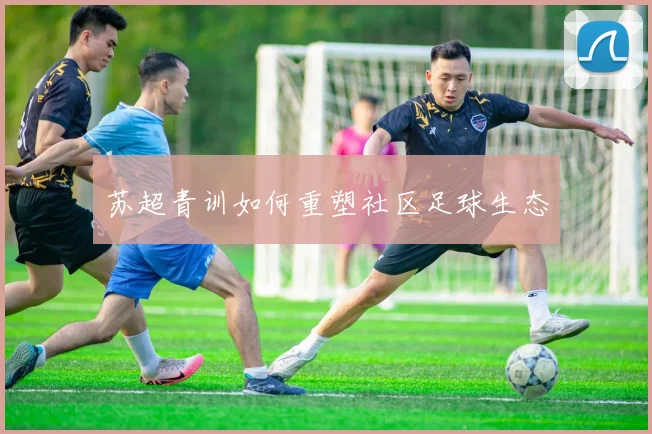 苏超青训如何重塑社区足球生态